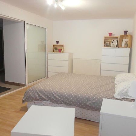 Ferienwohnung Studio Moliere Brașov Exterior foto