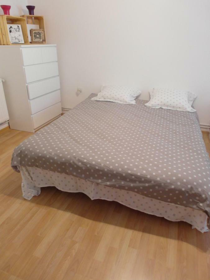 Ferienwohnung Studio Moliere Brașov Exterior foto