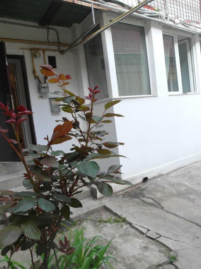 Ferienwohnung Studio Moliere Brașov Exterior foto